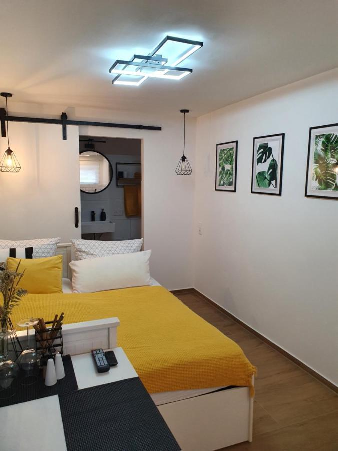 Studio-Apartment Kontaktloser Check-In Meckenbeuren Extérieur photo